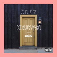 Ndauyawo (Remix) [feat. Hillzy] - Single - Odheyi