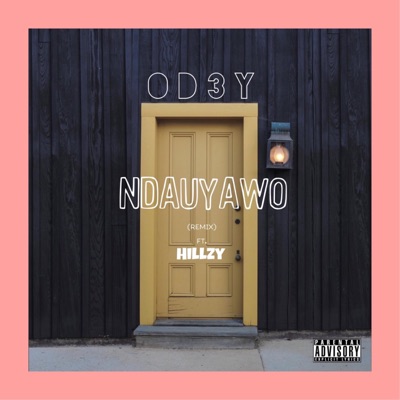 Ndauyawo (Remix) [feat. Hillzy] - Single