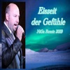 Eiszeit der Gefühle (NiGa Remix 2019) - Single