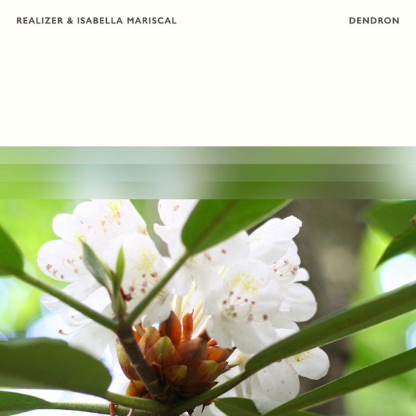 Dendron - Single