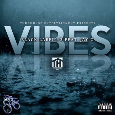 Vibes (feat. Jay-G) - Single