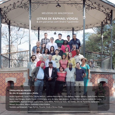 Waldir Silva em Letra e Música (2016)