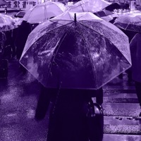 To Be Yours Again - Single - Lilac