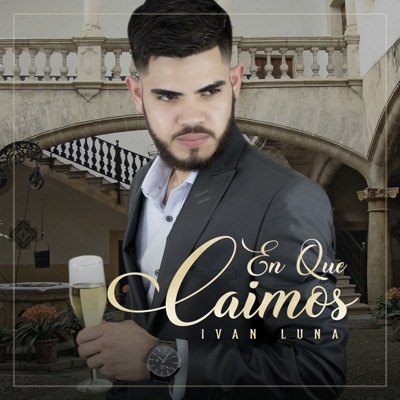 En Que Caímos - Single