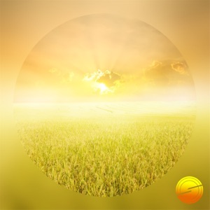 Sunbreeze - Single