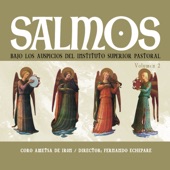 Salmos, Vol. 2 (feat. Fernando Echepare) artwork