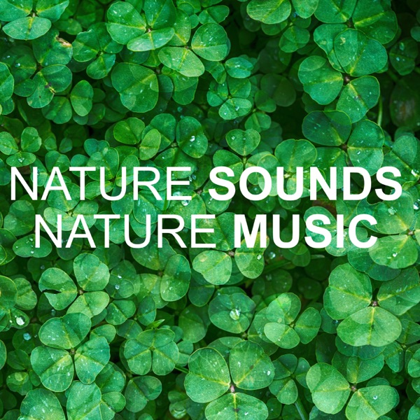 Nature Sounds Nature Music - EP