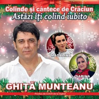 Ghita Munteanu - Într-un miez de noapte