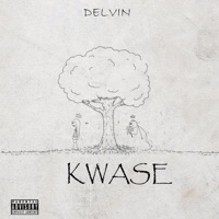 Kwase - Single - Delvin