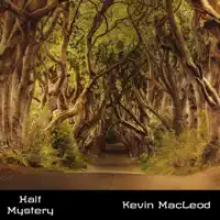 Half Mystery — Kevin MacLeod