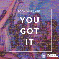 You Got It - Single - NEEL & Sodhivine