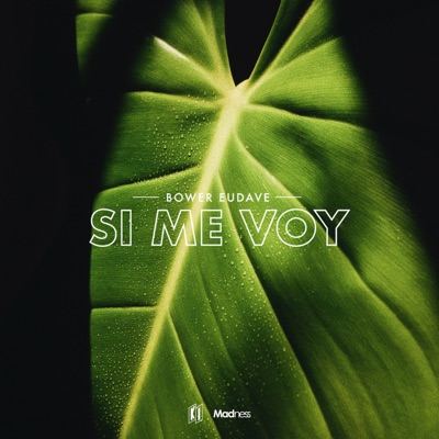 Si Me Voy - Single