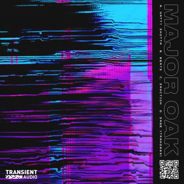 Natty Shotta - EP