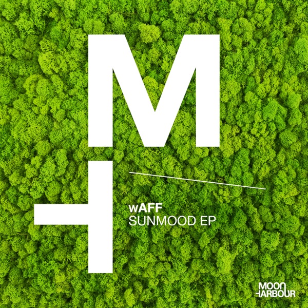 Sunmood - Single