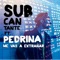 Me Vas a Extrañar (feat. Pedrina) - Subcantante lyrics
