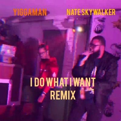 I Do What I Want Remix (feat. Nate SkyWalker) - Single