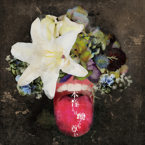 HASHIDUME MOMO - Apple Music
