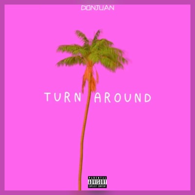 Turn Around - Single