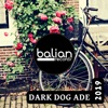 Dark Dog Ade 2019