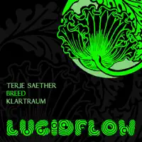 Full Focus (Klartraum Deep Dub Mix) — Terje Saether