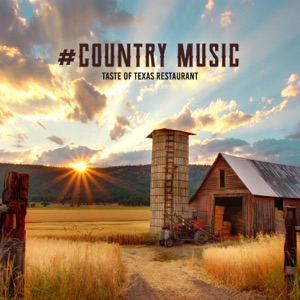 #Country Music: Taste of Texas Restaurant - Road House, Hotels, Café and Lounge Bar
