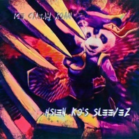 Hsien Ko's Sleevez - ICE CREAM KOAN