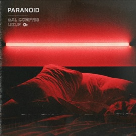 Paranoid LiKun & Mal Compris