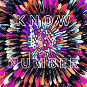 Know My Number artwork