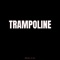 Trampoline (feat. Sara Shaed) - Molly Jay lyrics