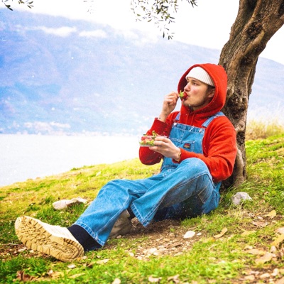 Massu täynnä mansikoita - Single