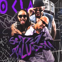 Sentada Malvadona - Single - O Clã