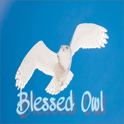 Blessed Owl - EP