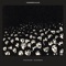 A Face In the Crowd (feat. Lyle Workman) - Funkwrench Blues lyrics