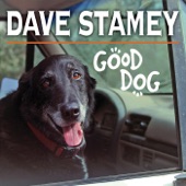 Dave Stamey - Great Wide Open