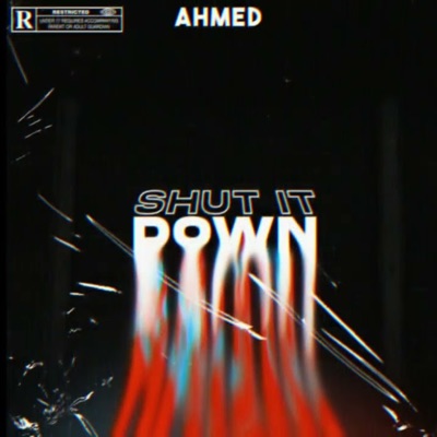 SHUT IT DOWN - Single