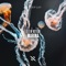 Marina (Extended Mix) - OBM Notion lyrics