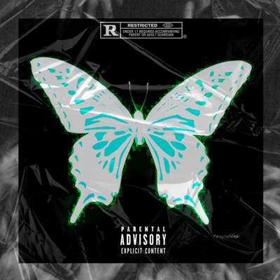 P4Nd3M1C Fl1P - EP