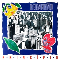 Princípio