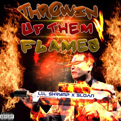 Throwin' Up Them Flames (feat. Sloan) - Single