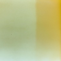 Circle - Single - Nsolo