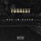 Nur - Forrest lyrics
