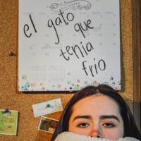 El gato que tenía frío (Live room) - Single - Pau Laggies