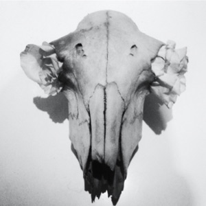 WOLFEP018 - Single