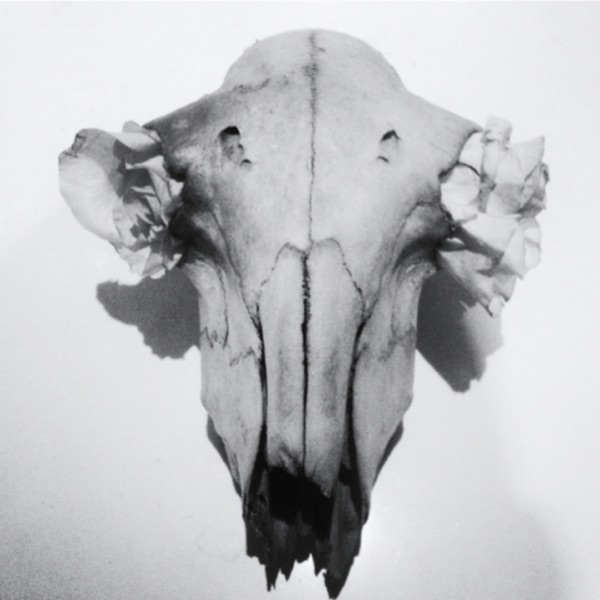 WOLFEP018 - Single