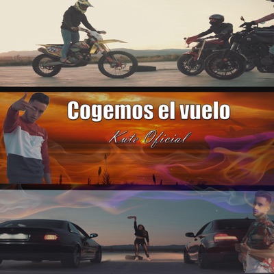 Cogemos el Vuelo - Single