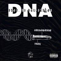 DNA (feat. Vndl) - Single - Yellowmane