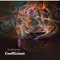 Coefficient - Hideyoshi lyrics