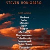 Steven Honigberg