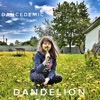 Dandelion - Single artwork