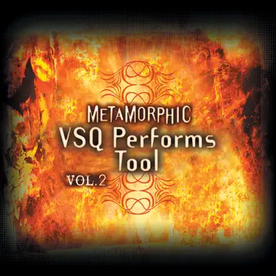 Metamorphic: VSQ Performs Tool, Vol. 2 - Vitamin String Quartet
